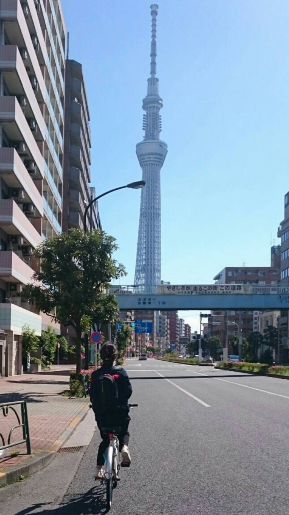 自転車の居場所