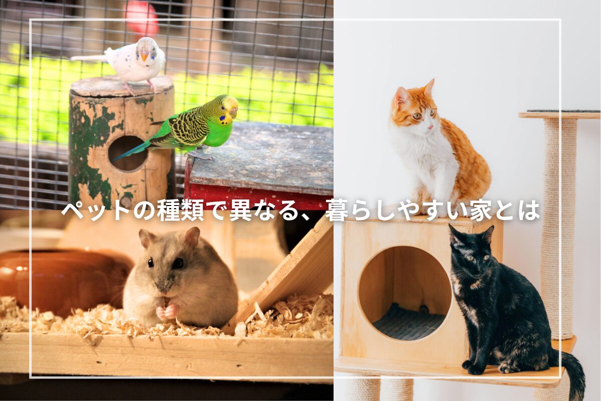 ペットの種類で異なる、暮らしやすい家とは|犬猫・爬虫類・鳥・昆虫